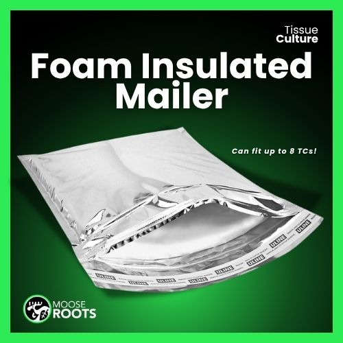 Plant Protection - Foam Insulation